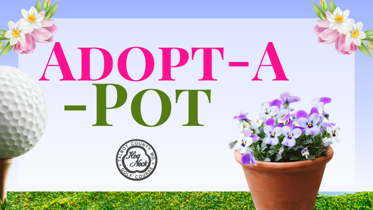 Adopt-A-Pot Contest 2026